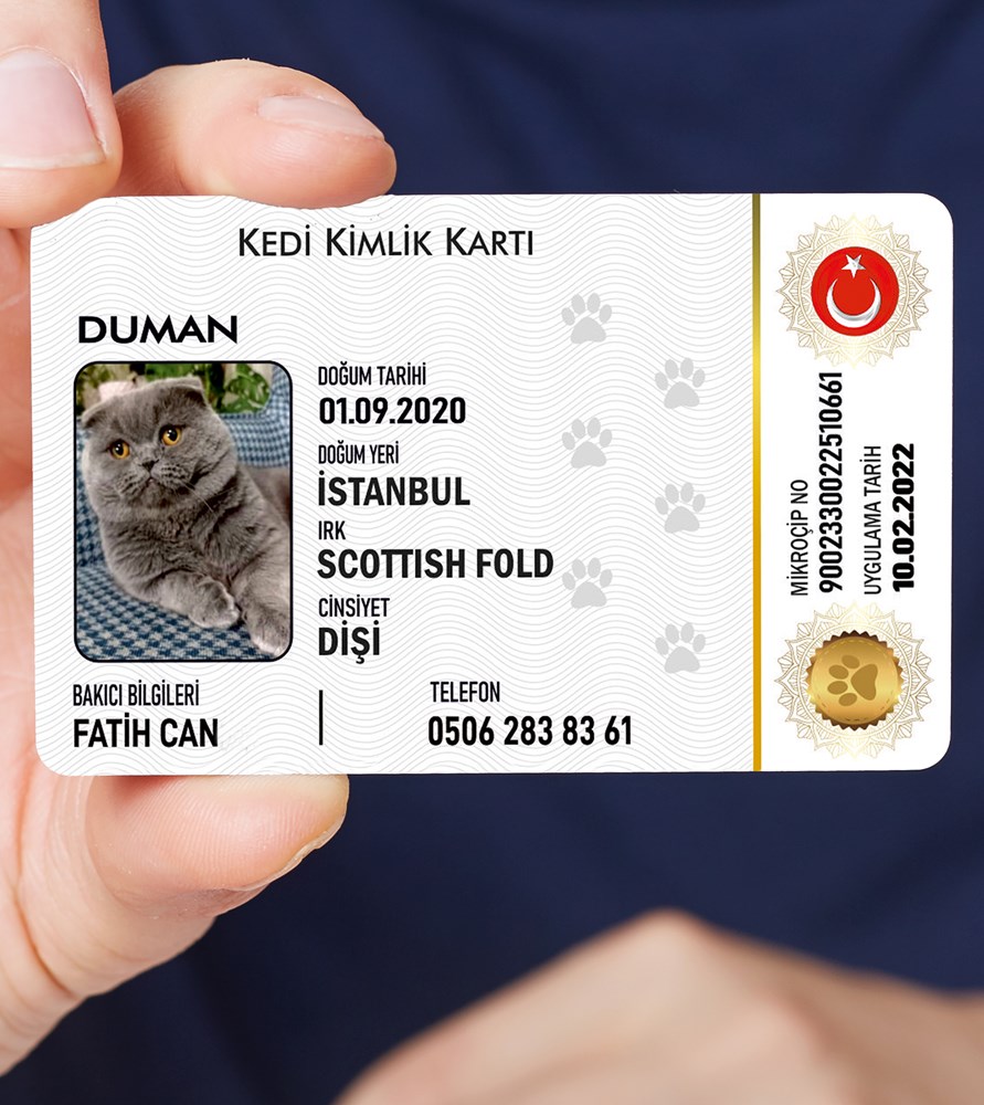 Kedi Kimliği, Hayvan Kimliği, Kedi Kimliği Çıkartma